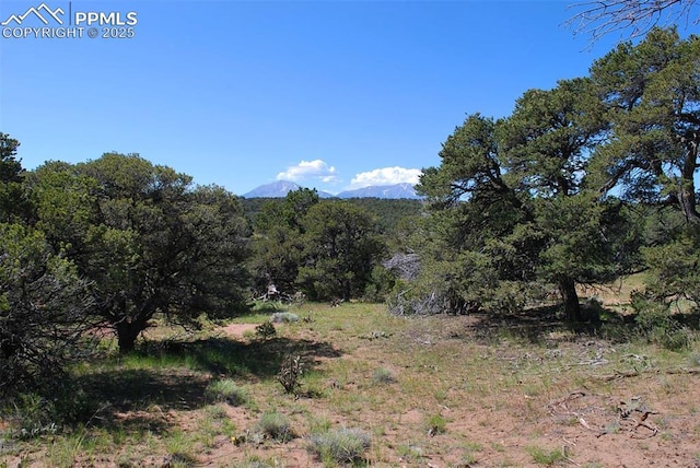 Williams Rd, Walsenburg, CO 81089