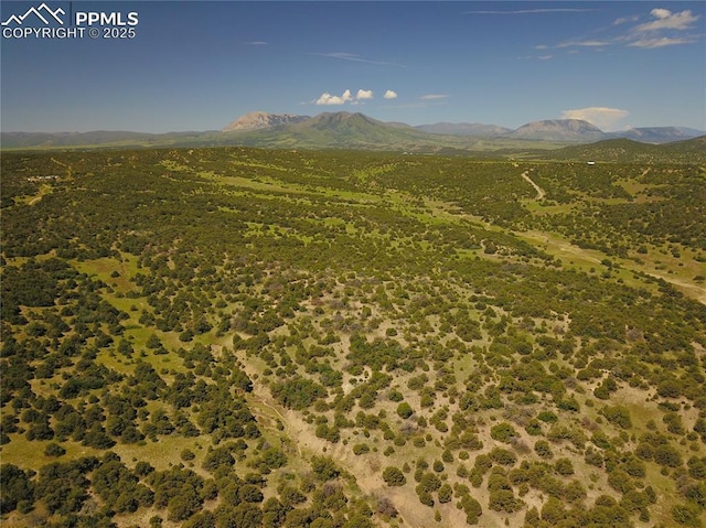 Williams Rd, Walsenburg, CO 81089