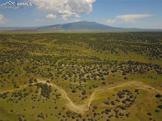 Williams Rd, Walsenburg, CO 81089