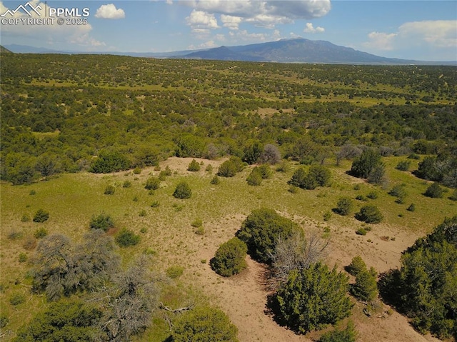 Williams Rd, Walsenburg, CO 81089