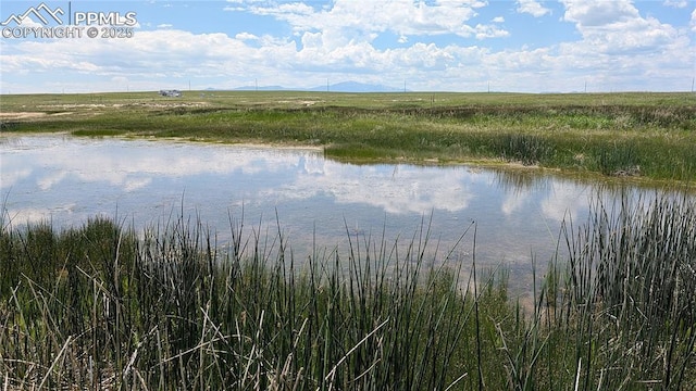 7995 Cowboy Ranch Vw, Peyton, CO 80831