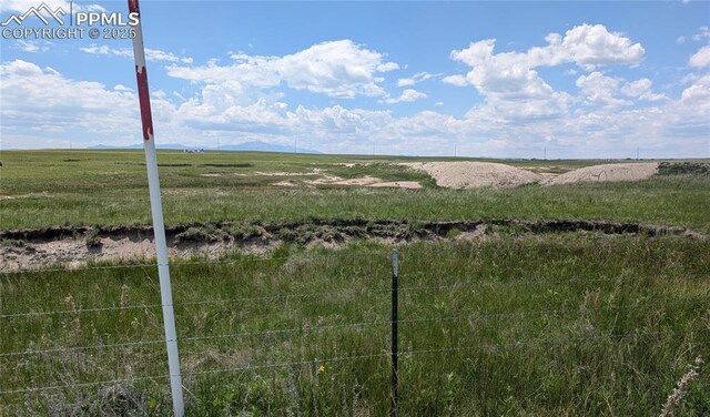 7995 Cowboy Ranch Vw, Peyton, CO 80831