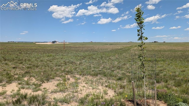 7995 Cowboy Ranch Vw, Peyton, CO 80831