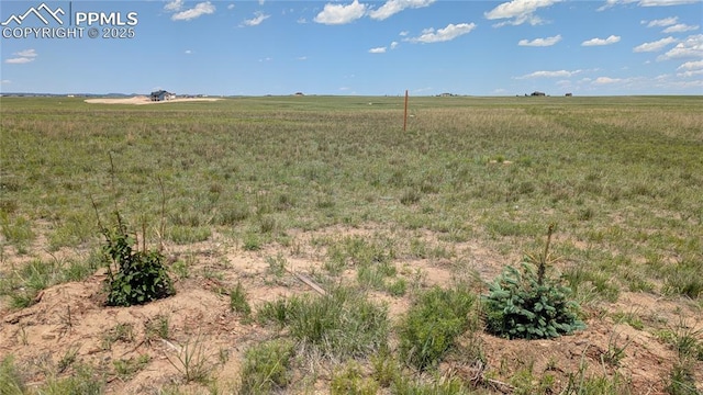 7995 Cowboy Ranch Vw, Peyton, CO 80831
