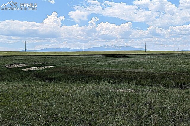 7995 Cowboy Ranch Vw, Peyton, CO 80831
