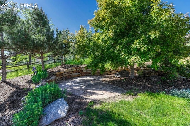 123 Wheat Ridge St, Palmer Lake, CO 80133 - view of yard featuring a patio