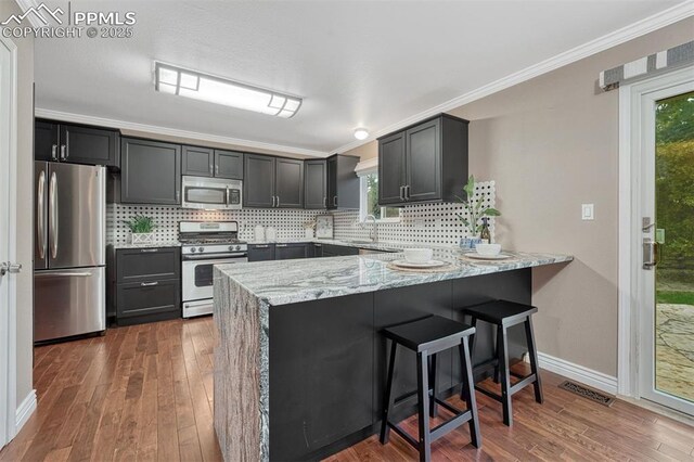 123 Wheat Ridge St, Palmer Lake, CO 80133 - kitchen featuring stainless steel appliances, a peninsula, light stone counters, tasteful backsplash, and dark wood finished floors