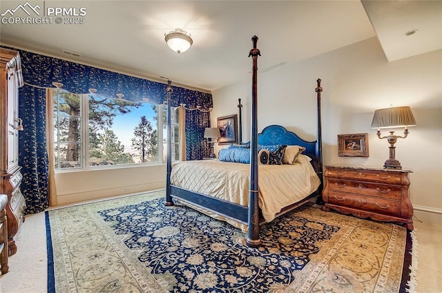910 Grey Mountain Pt, Colorado Springs, CO 80906 - bedroom featuring baseboards