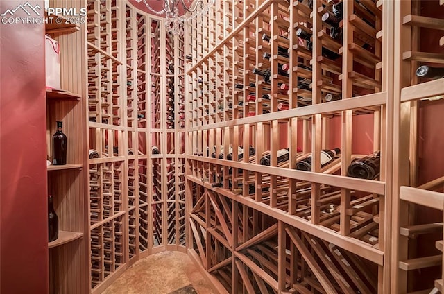 910 Grey Mountain Pt, Colorado Springs, CO 80906 - view of wine cellar