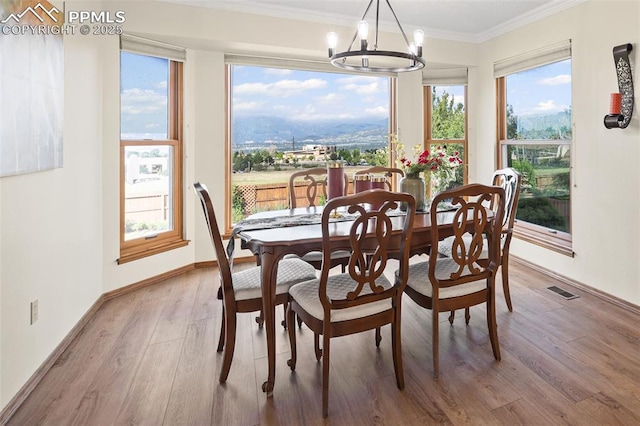 2505 Wimbleton Ct, Colorado Springs, CO 80920 - dining room with a chandelier, plenty of natural light, light wood finished floors, and ornamental molding