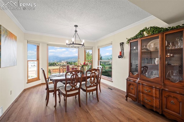 2505 Wimbleton Ct, Colorado Springs, CO 80920 - dining room featuring a chandelier, light wood-type flooring, a textured ceiling, and ornamental molding