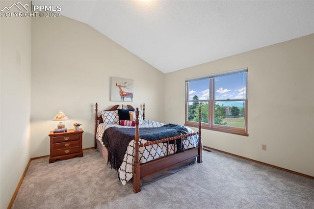 2505 Wimbleton Ct, Colorado Springs, CO 80920 - carpeted bedroom featuring baseboards and lofted ceiling
