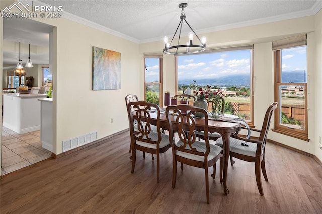 2505 Wimbleton Ct, Colorado Springs, CO 80920 - dining room with a chandelier, light wood finished floors, ornamental molding, and a textured ceiling