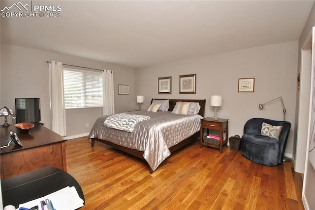 4201 Stonesthrow Vw, Colorado Springs, CO 80922 - bedroom with light wood-style flooring