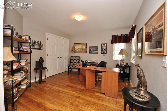 4201 Stonesthrow Vw, Colorado Springs, CO 80922 - office with light wood-style floors