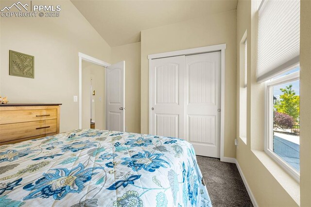 2997 Bright Moon Dr, Colorado Springs, CO 80908 - bedroom with vaulted ceiling, carpet, and a closet