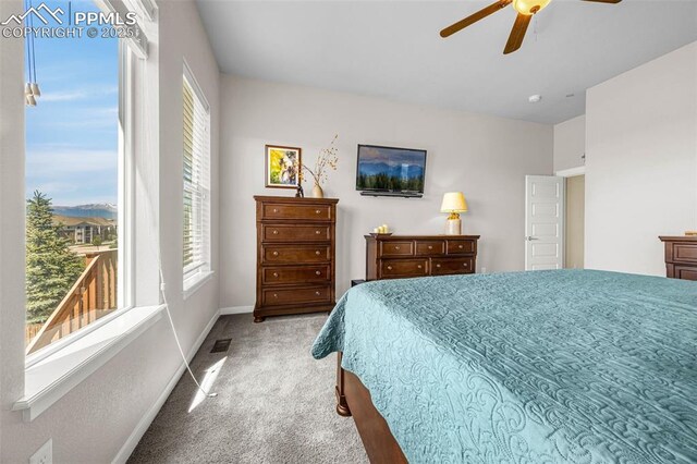 4187 Notch Trl, Colorado Springs, CO 80924 - bedroom featuring carpet floors and ceiling fan