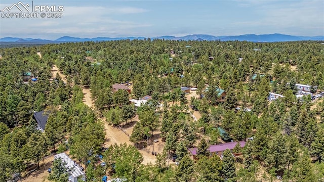 269 Evergreen Rd, Woodland Park, CO 80863 - bird's eye view of a forest and mountains