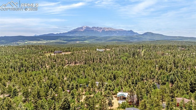 269 Evergreen Rd, Woodland Park, CO 80863 - mountain view featuring a heavily wooded area