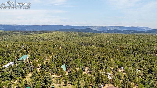 269 Evergreen Rd, Woodland Park, CO 80863 - aerial view of a forest and mountains