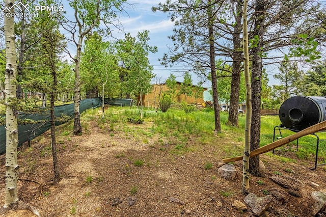 269 Evergreen Rd, Woodland Park, CO 80863 - view of yard