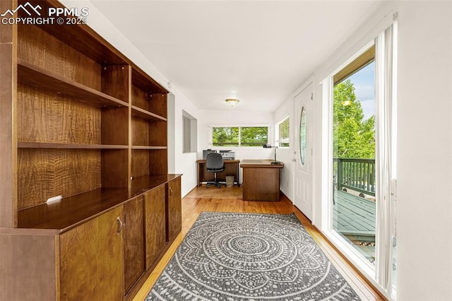 269 Evergreen Rd, Woodland Park, CO 80863 - office space featuring light wood finished floors