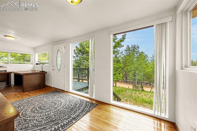 269 Evergreen Rd, Woodland Park, CO 80863 - view of sunroom / solarium