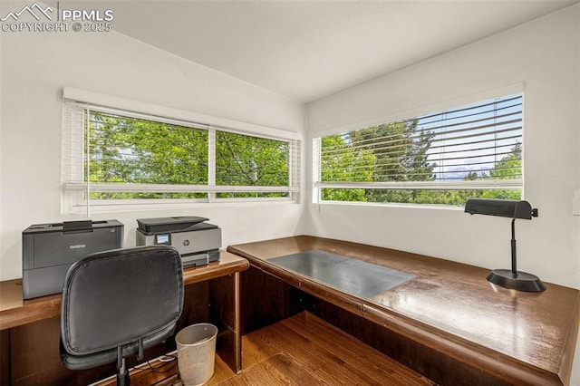 269 Evergreen Rd, Woodland Park, CO 80863 - home office featuring wood finished floors