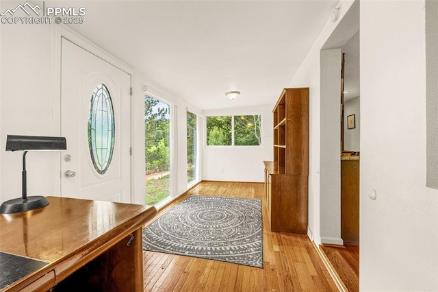 269 Evergreen Rd, Woodland Park, CO 80863 - entrance foyer featuring light wood-type flooring