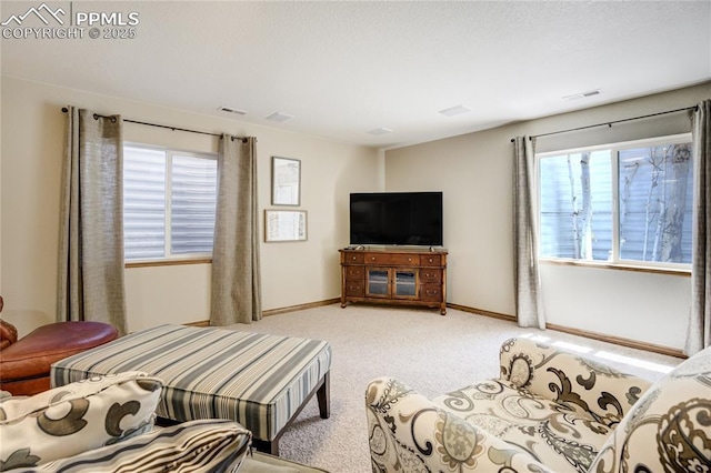5763 Show Down Ln, Colorado Springs, CO 80923 - living area with light colored carpet and baseboards