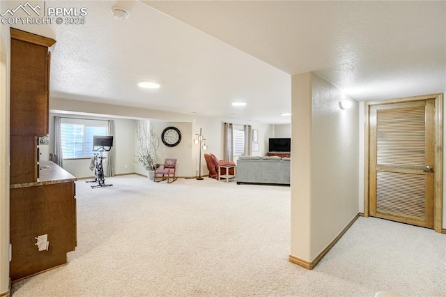 5763 Show Down Ln, Colorado Springs, CO 80923 - interior space featuring carpet