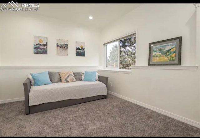 17870 New London Rd, Monument, CO 80132 - bedroom featuring carpet flooring and recessed lighting