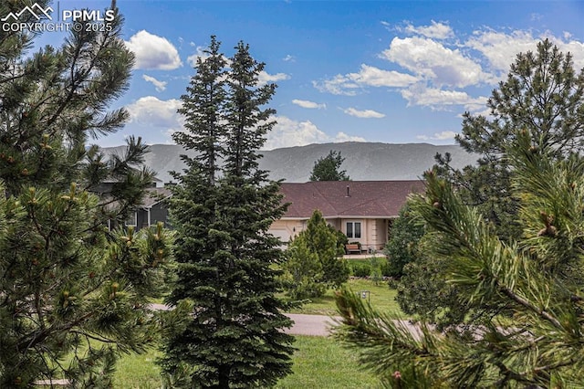 17870 New London Rd, Monument, CO 80132 - view of mountain backdrop
