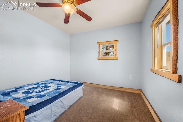 2925 M Path, Cotopaxi, CO 81223 - unfurnished bedroom with carpet flooring and ceiling fan