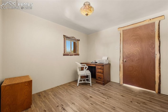 2925 M Path, Cotopaxi, CO 81223 - office with light wood-type flooring