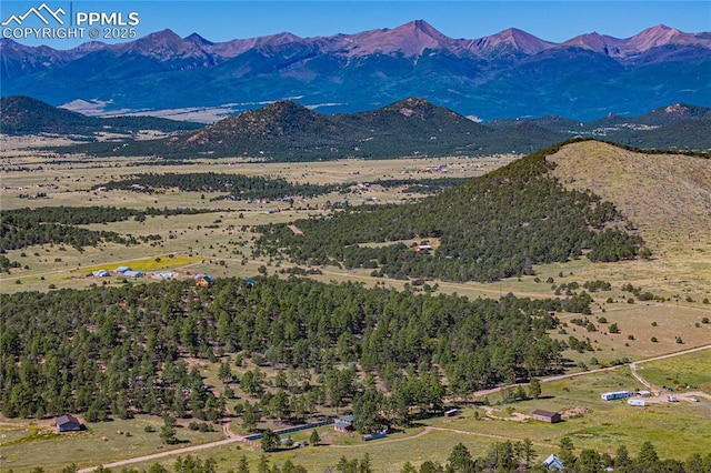 2925 M Path, Cotopaxi, CO 81223 - view of mountain background