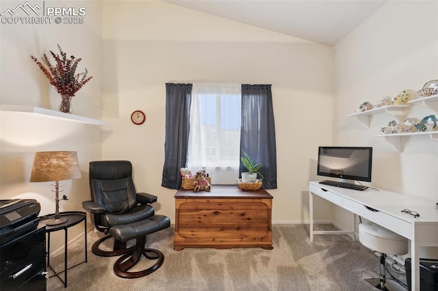 968 Samuel Pt, Colorado Springs, CO 80906 - office featuring carpet floors and vaulted ceiling