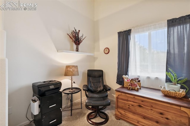 968 Samuel Pt, Colorado Springs, CO 80906 - living area featuring baseboards and carpet floors
