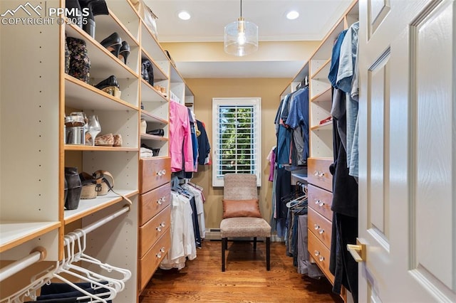 155 Grayson Ct, Colorado Springs, CO 80906 - spacious closet featuring wood finished floors and baseboard heating