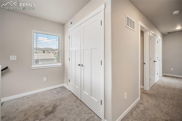 4928 Wolf Moon Dr, Colorado Springs, CO 80911 - hall with carpet floors
