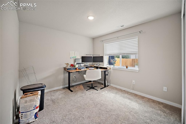 4928 Wolf Moon Dr, Colorado Springs, CO 80911 - home office with carpet flooring and baseboards
