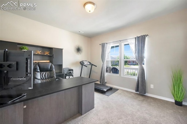 4631 Zircon Dr, Colorado Springs, CO 80938 - office space with light carpet and baseboards