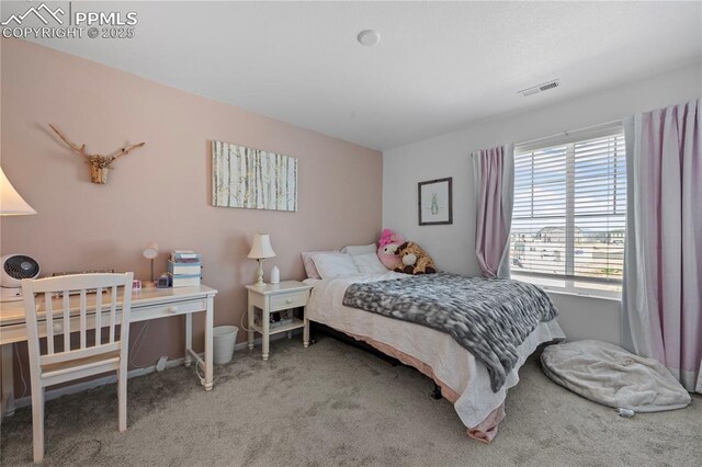 6131 Vickie Ln, Colorado Springs, CO 80923 - bedroom with carpet