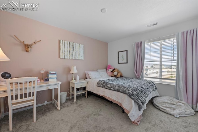 6131 Vickie Ln, Colorado Springs, CO 80923 - bedroom with carpet