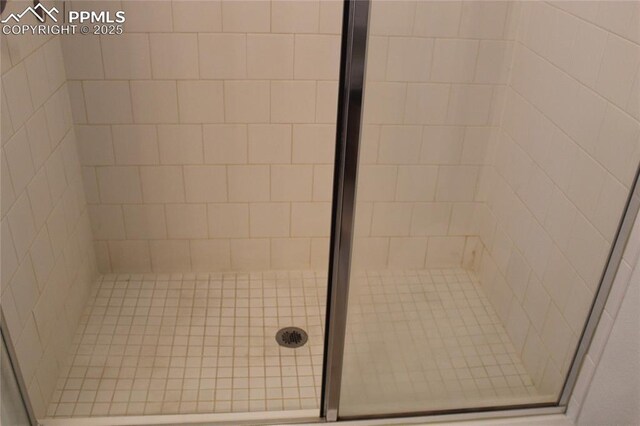 6131 Vickie Ln, Colorado Springs, CO 80923 - bathroom view of a stall shower