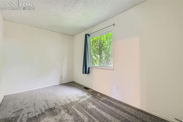1994 Erin Loop, Colorado Springs, CO 80918 - spare room with carpet and a textured ceiling