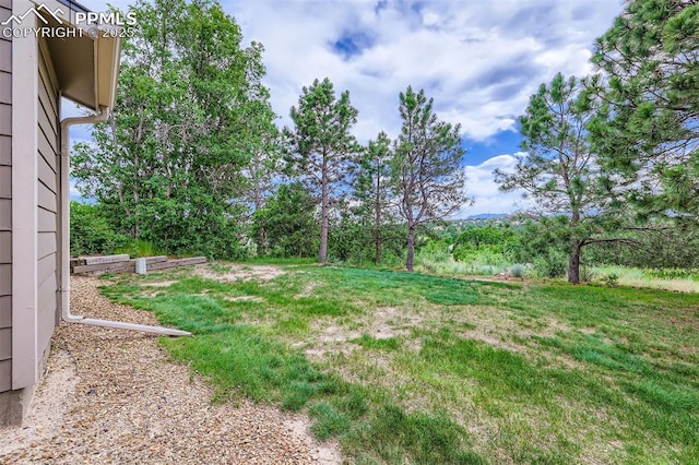 1994 Erin Loop, Colorado Springs, CO 80918 - view of grassy yard