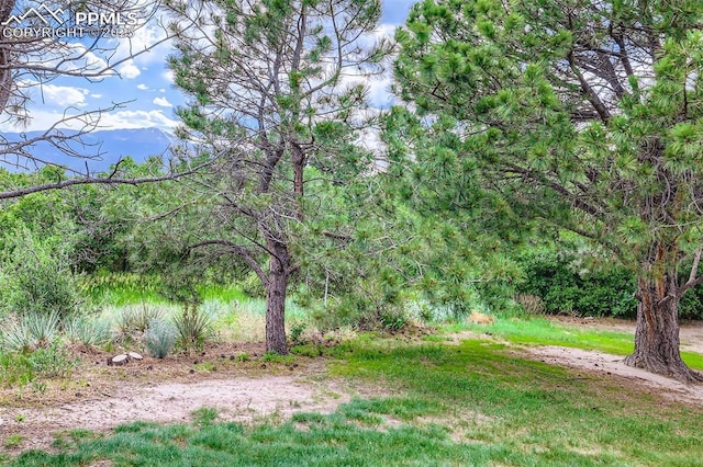 1994 Erin Loop, Colorado Springs, CO 80918 - view of yard with a view of trees