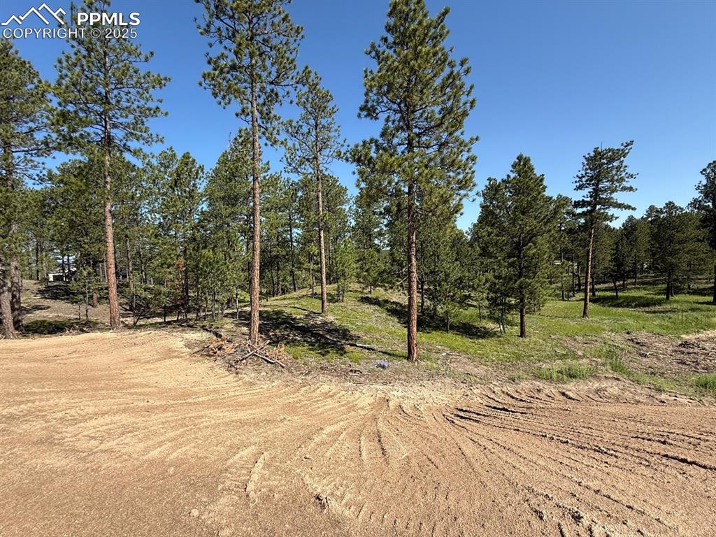 14681 Quartz Creek Dr, Colorado Springs, CO 80908