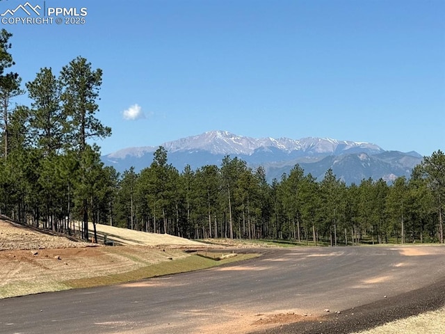 14681 Quartz Creek Dr, Colorado Springs, CO 80908